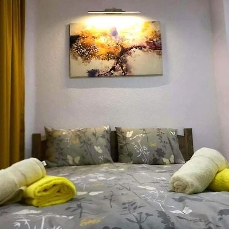 Apartment - Nane 2 - Krushevo Kruševo Eksteriør billede